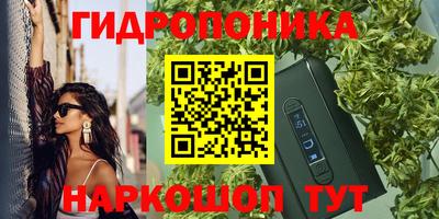 сатива Лесосибирск