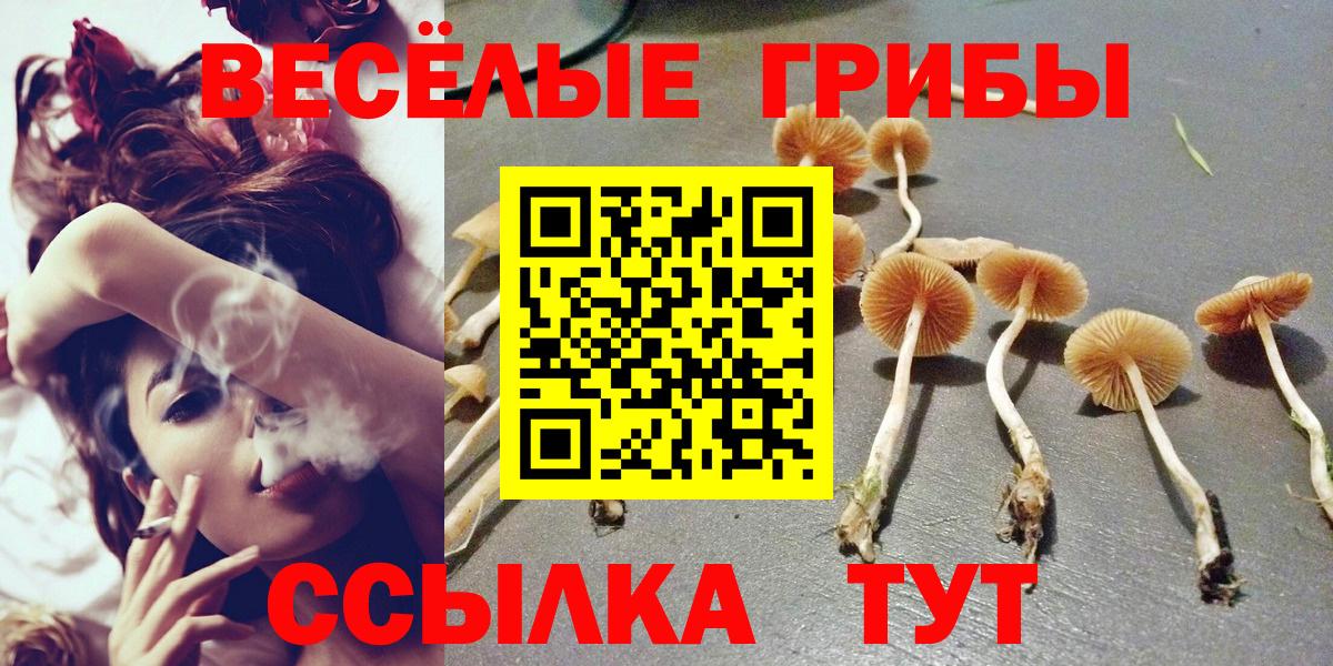 Галлюциногенные грибы GOLDEN TEACHER Вязники