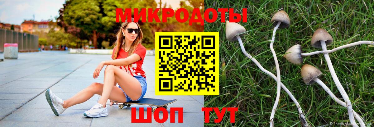 Вязники  Псилоцибиновые грибы Psilocybine cubensis  цена   Вход с VPN 